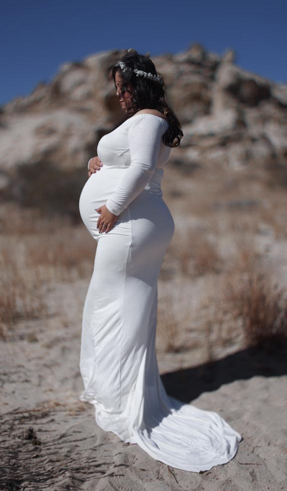 Viverra orci dapibus