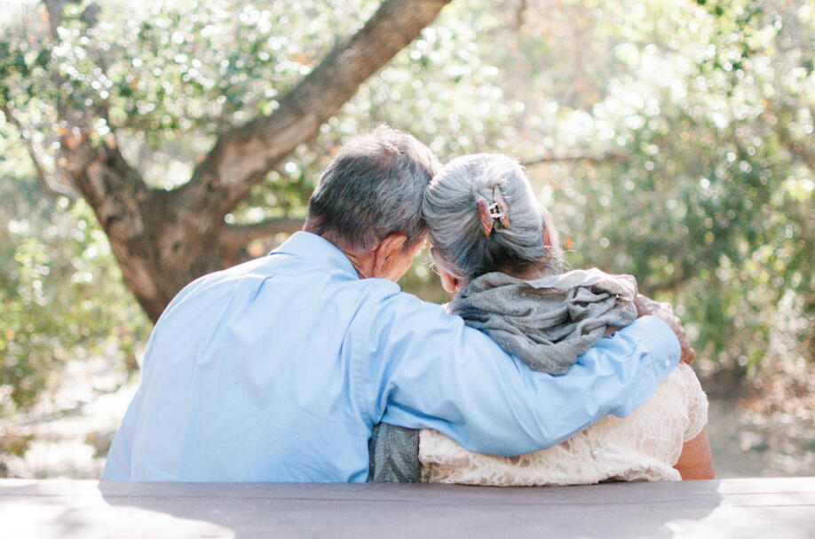 Efficitur faucibus vitae